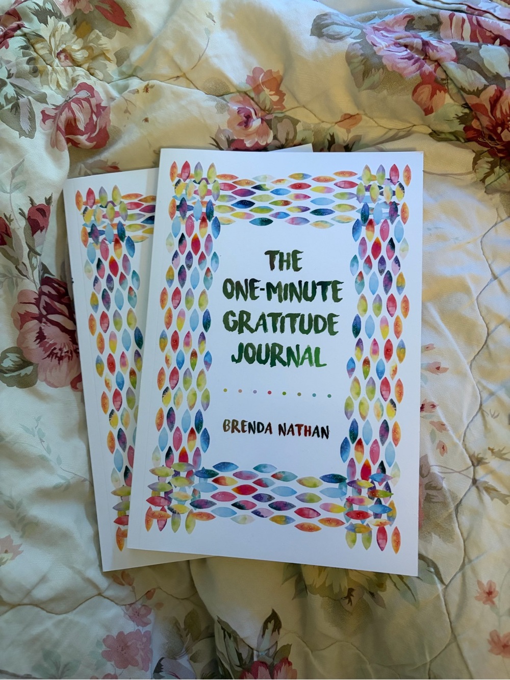 The One-Minute Gratitude Journal by - Brenda Nathan